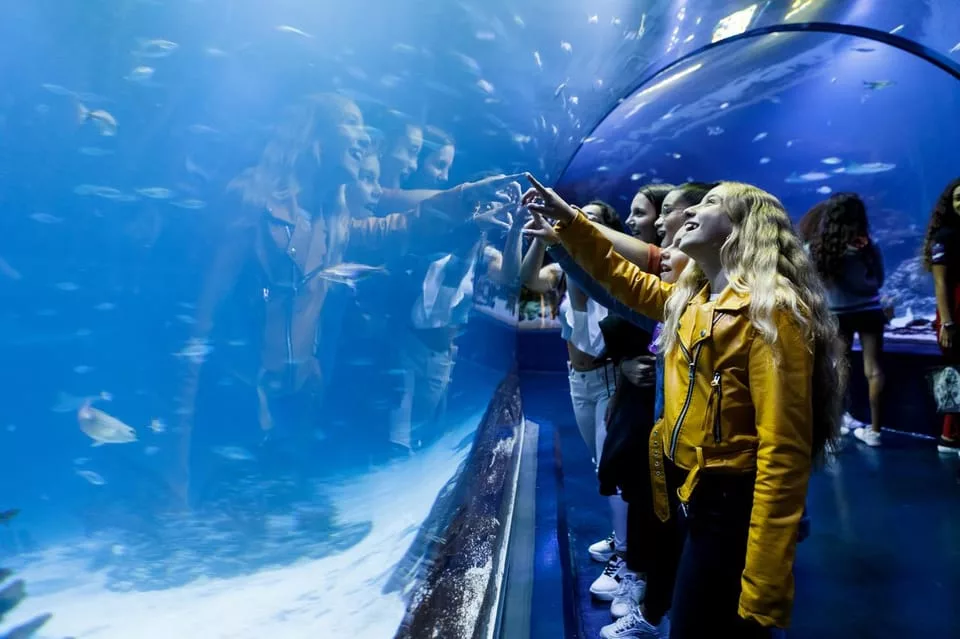 Acuario Atlantis