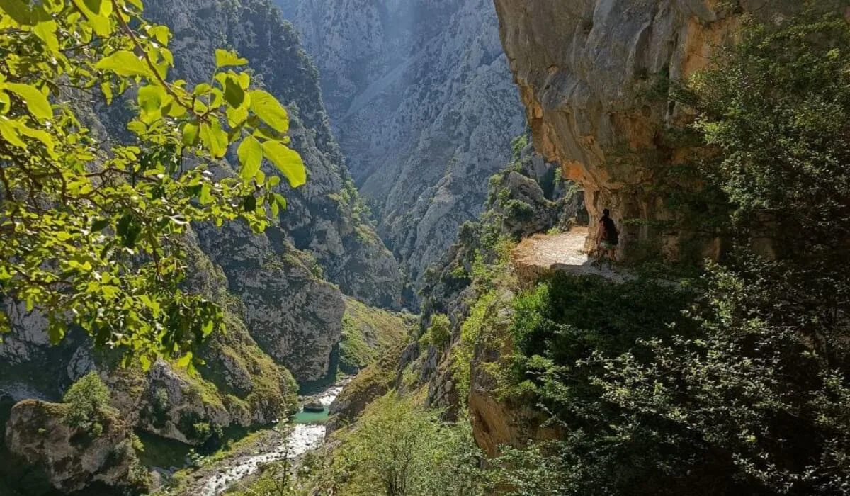 Senderista recorriendo la Ruta del Cares con vistas al desfiladero y al río en los Picos de Europa