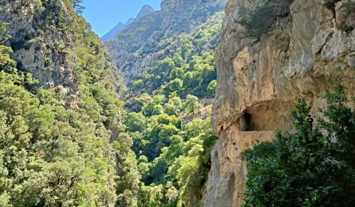 Senderista recorriendo la Ruta del Cares con vistas al desfiladero y al río en los Picos de Europa