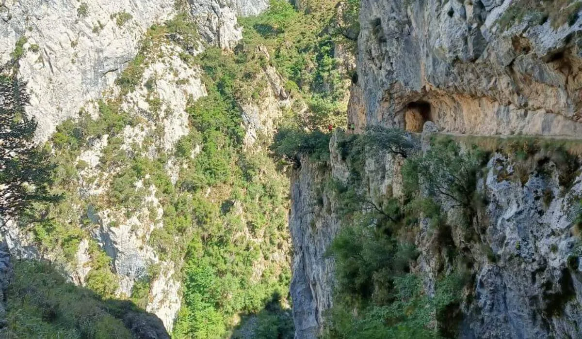 Camino excavado en la roca de la Ruta del Cares, entre acantilados y montañas de los Picos de Europa