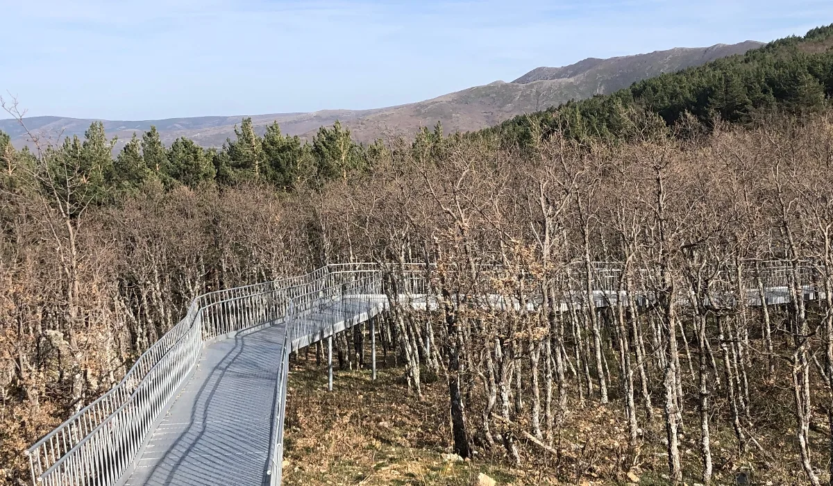 Pasarela metálica del Mirador de Peñas Llanas, en Riaza (Segovia), atravesando un bosque de rebollos con montañas al fondo bajo un cielo despejado.