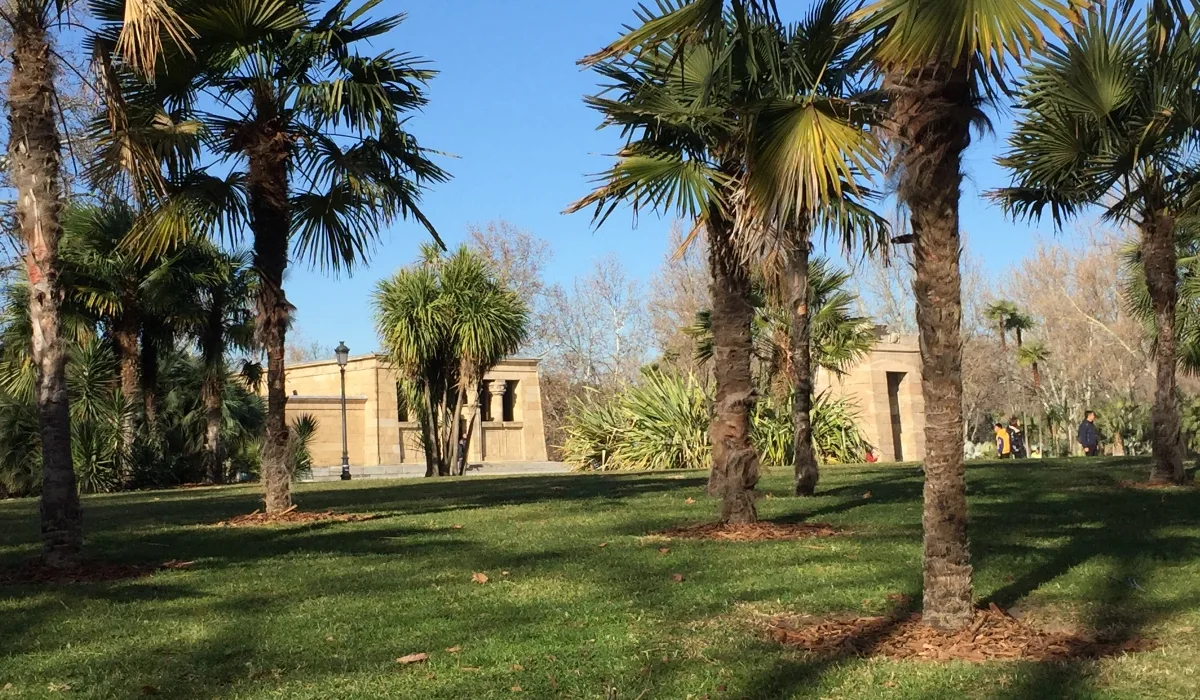 Ruta por el oeste de Madrid con el Templo de Debod rodeado de palmeras y jardines en el Parque del Oeste en un día soleado