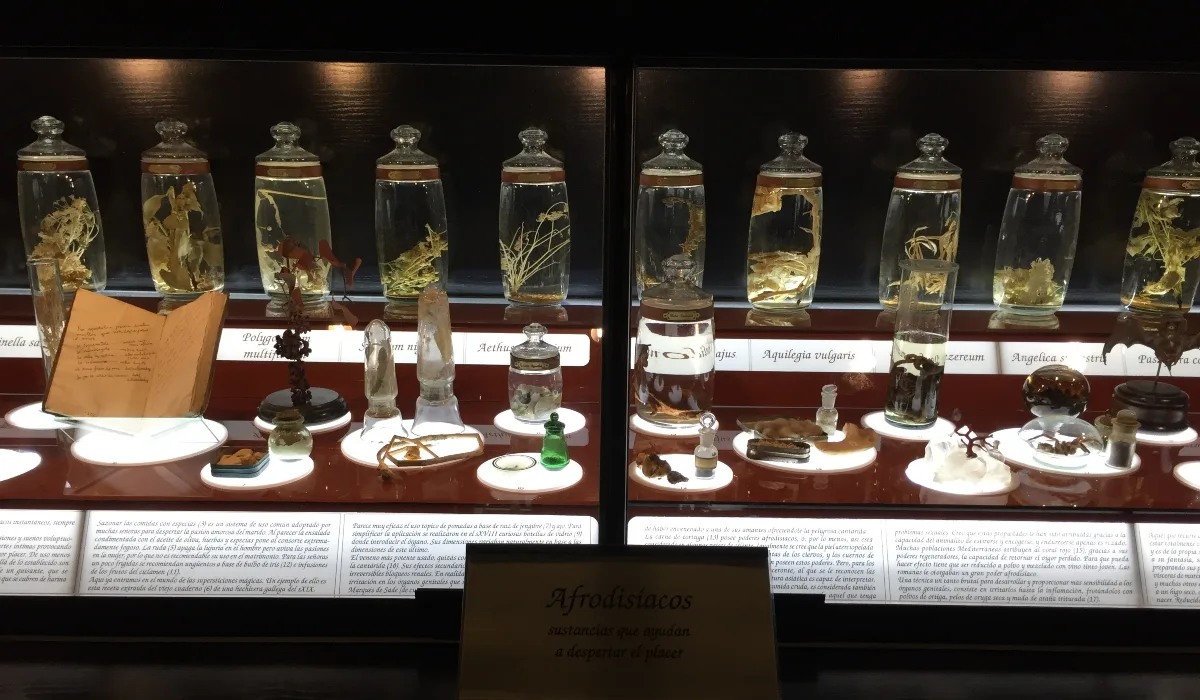 Vitrina con afrodisíacos, frascos y objetos utilizados en filtros amorosos en el Museo de la Brujería de Toledo