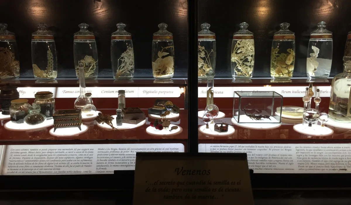 Vitrina con plantas venenosas conservadas en frascos y objetos de alquimia en el Museo de la Brujería de Toledo