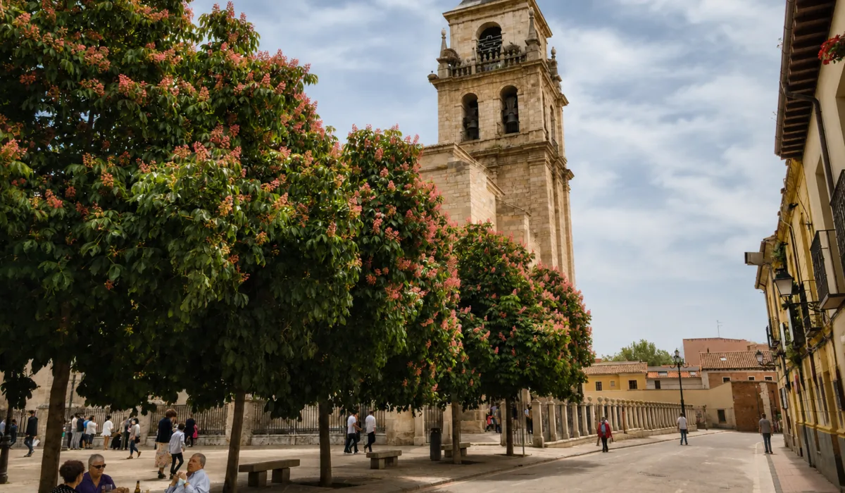 Iglesia Magistral de Alcalá de Henares junto a la Plaza de los Santos Niños, rodeada de castaños de Indias en flor