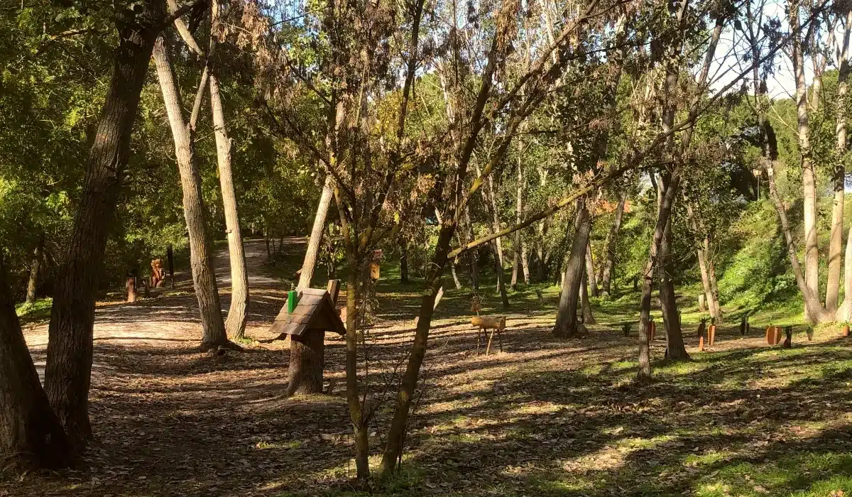 Bosque y sendero de la Senda Mágica de Arroyomolinos con elementos decorativos entre los árboles