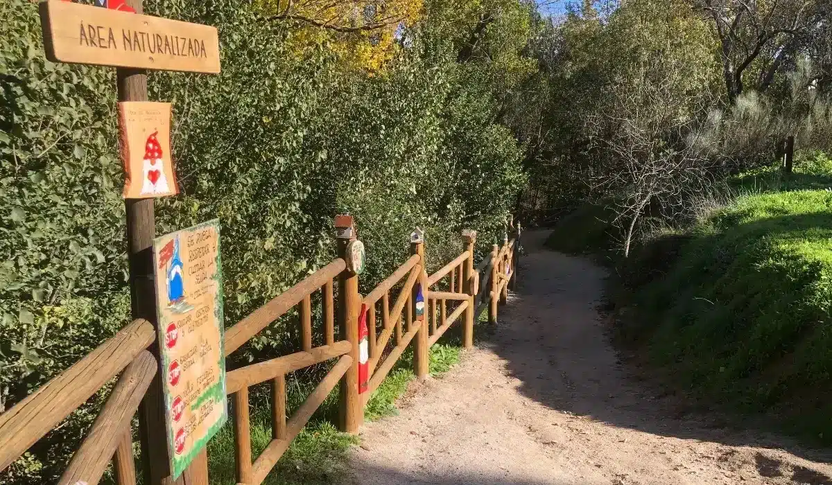 Camino de la Senda Mágica de Arroyomolinos entre árboles y elementos decorativos de madera