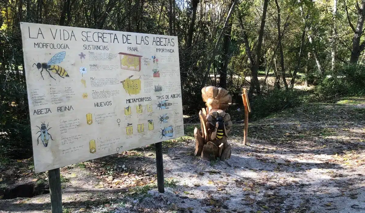 Panel interactivo sobre la vida secreta de las abejas en la Senda Mágica de Arroyomolinos