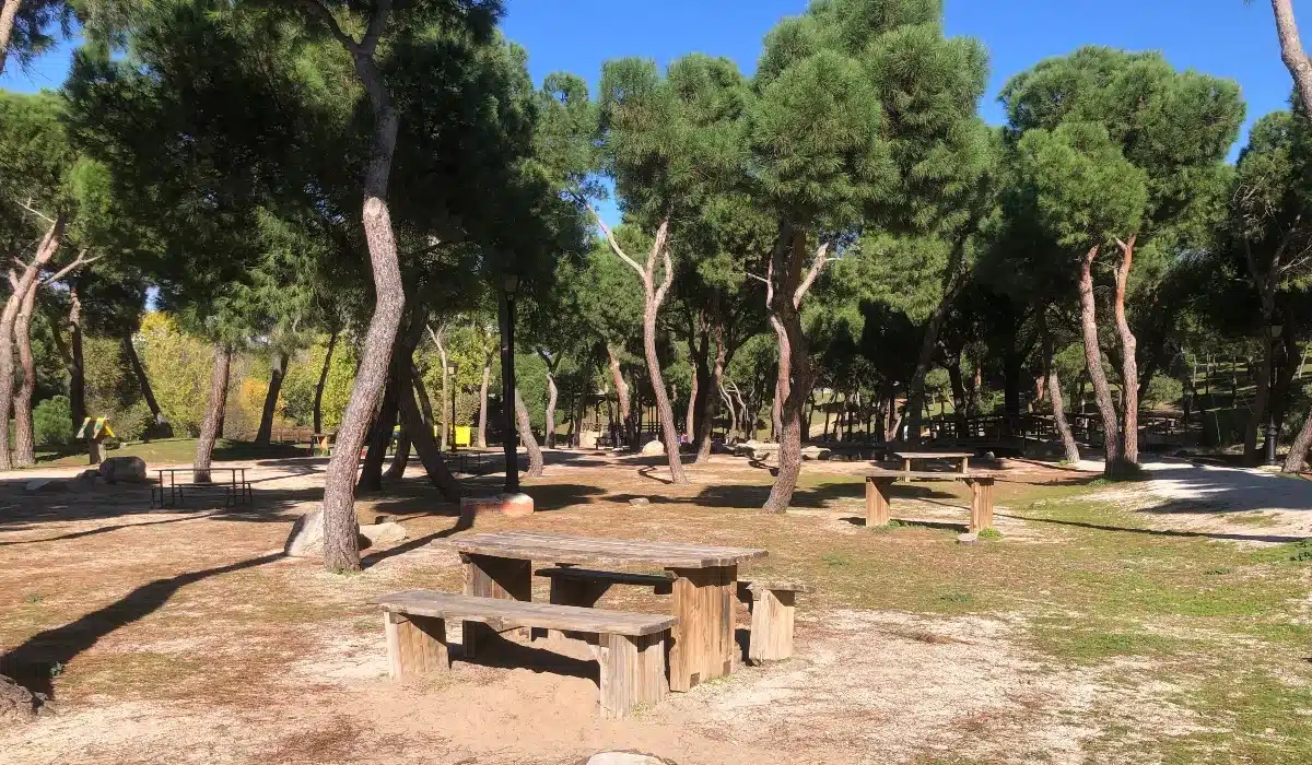 Zona de merendero de la Senda Mágica de Arroyomolinos con mesas de madera entre los pinos