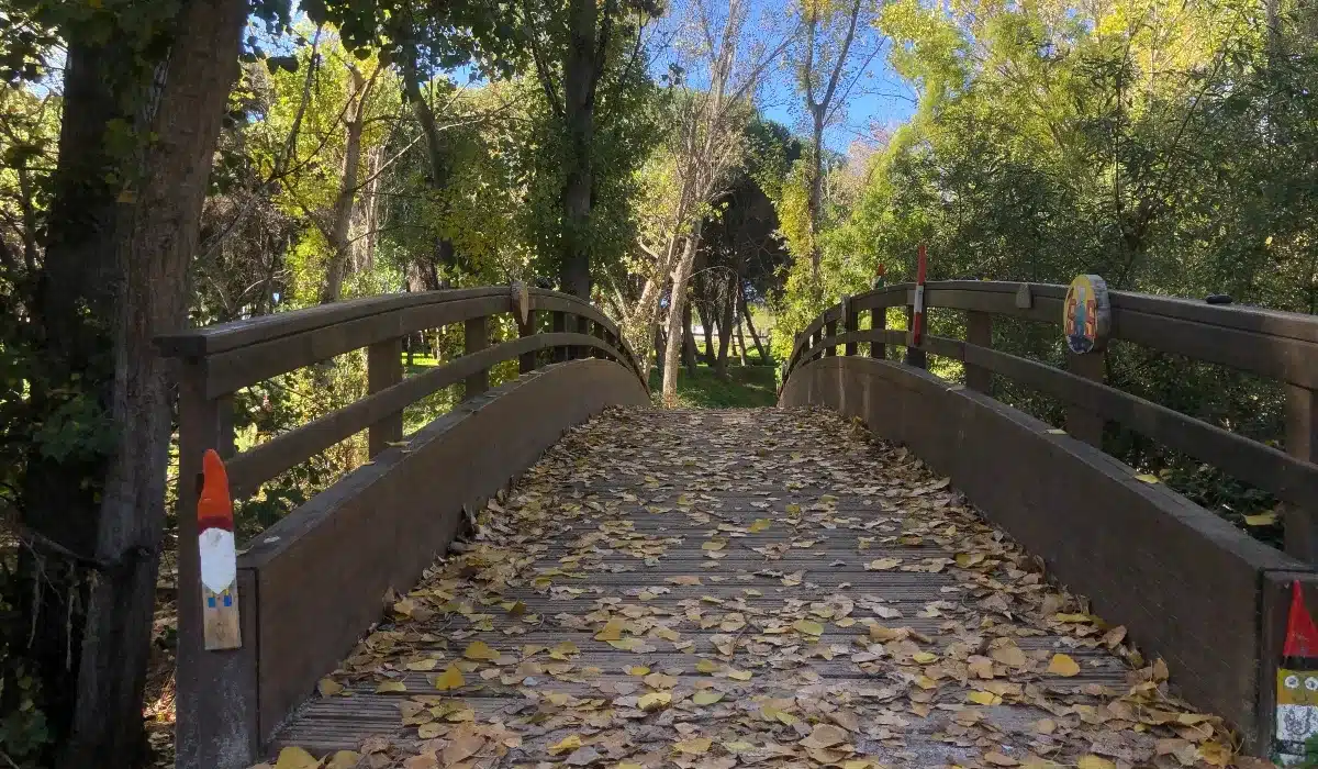 Puente de madera de la Senda Mágica de Arroyomolinos cubierto de hojas entre el bosque