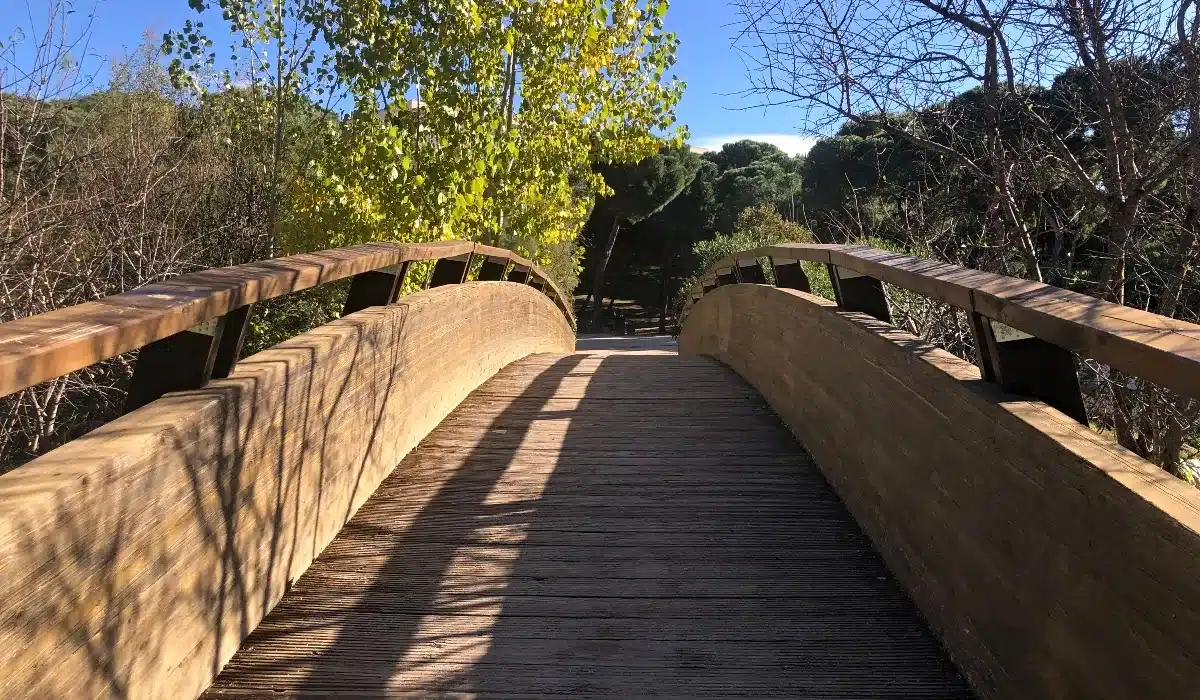 Puente de madera de la Senda Mágica de Arroyomolinos sobre el arroyo